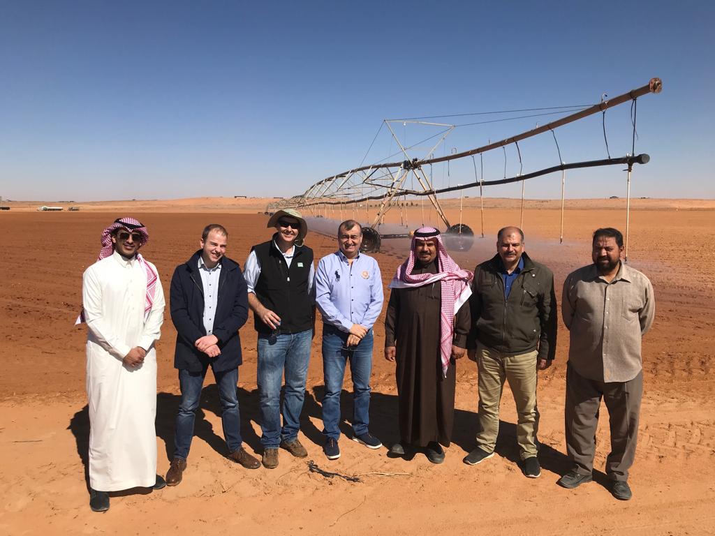 Archeology and premium potatoes in Saudi Arabia