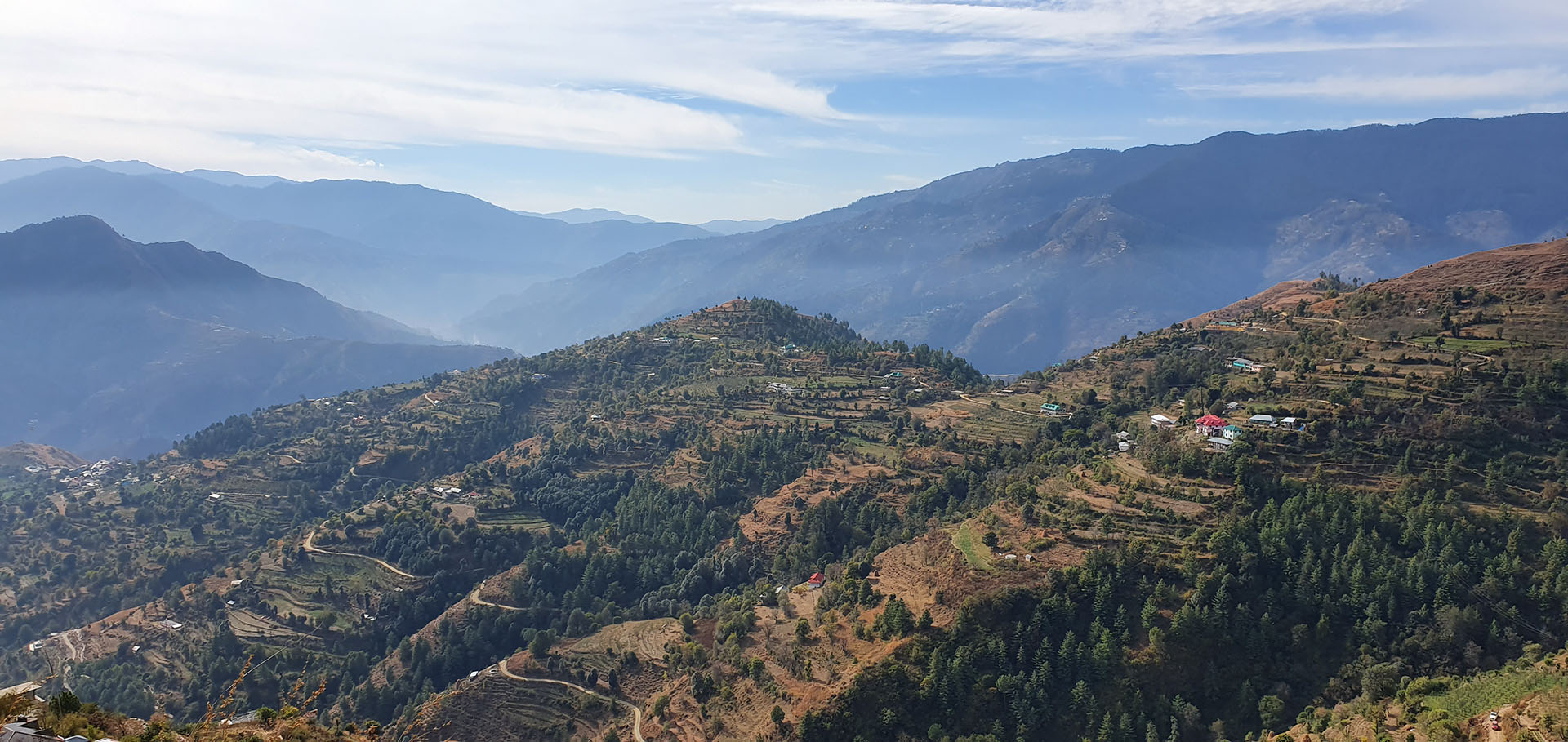 Terraces with apple trees in remote India