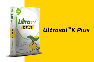 Ultrasol® K Plus