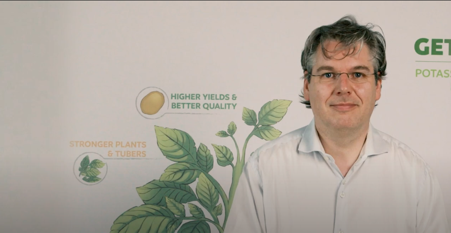 Nutritional considerations for high yield and quality in Potato