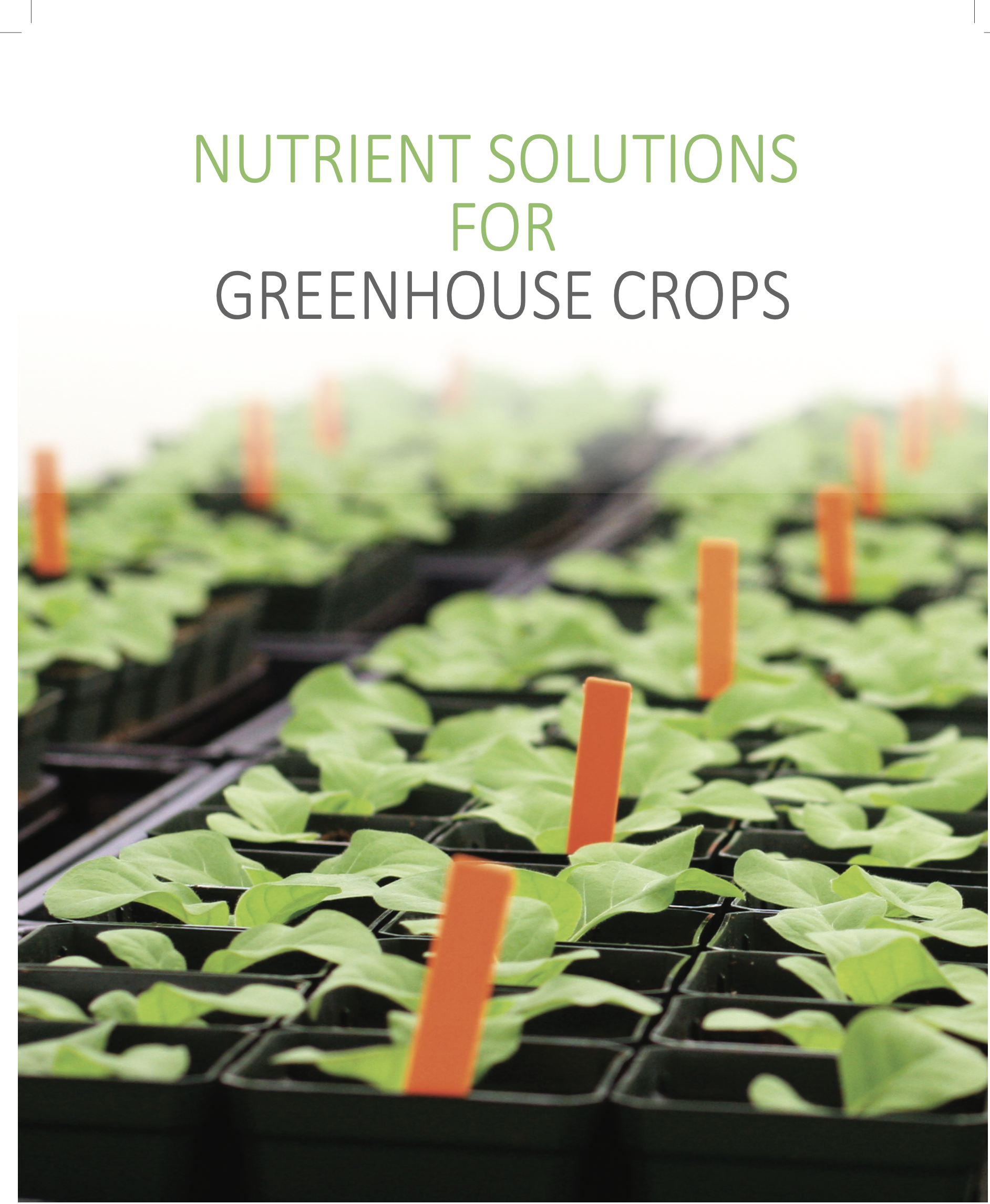 Nutrient Solutions for Greenhouse Crops