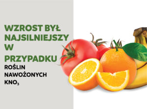 Azotan potasu wykazał lepsze wyniki w przypadku upraw na glebach pustynnych w warunkach silnie zasolonych