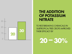 The addition of potassium nitrate to rest-breaking chemicals in subtropical tree crops improved their efficacy by 20-30%.