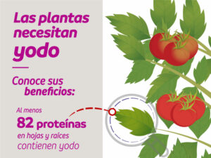 Las plantas necesitan yodo