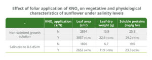 Potassium nitrate sprays positively affected vegetative characteristics of sunflower and safflower grown under salinity.