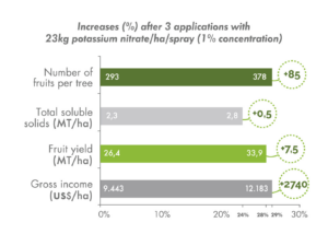 Potassium nitrate sprays resulted in more and larger-sized ‘Valencia’ oranges per tree