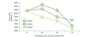 Fruit yield improvement in bell pepper by supplementary potassium at low ammonium:nitrate ratio in Mexico