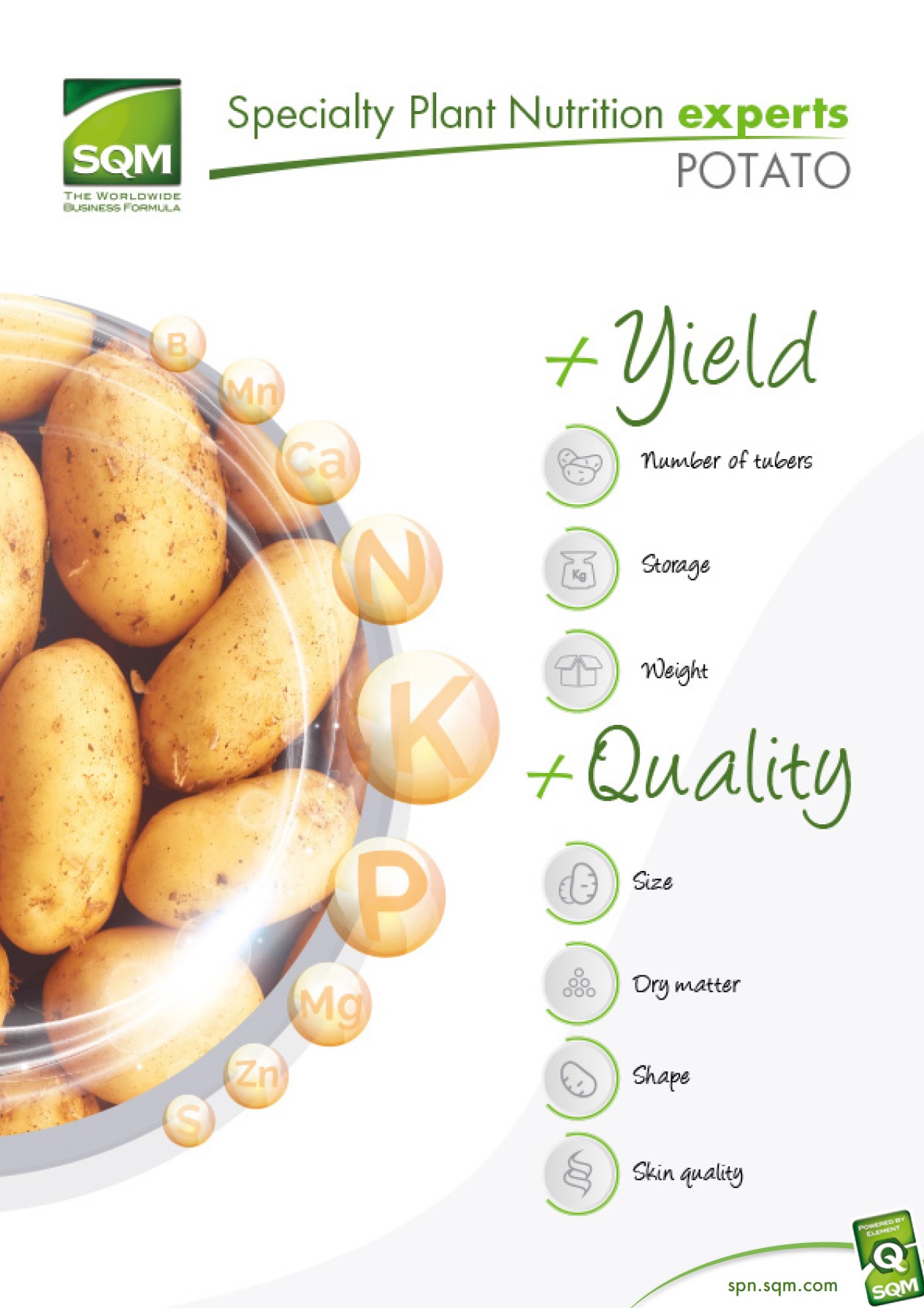 Specialty Plant Nutrition experts: Potato