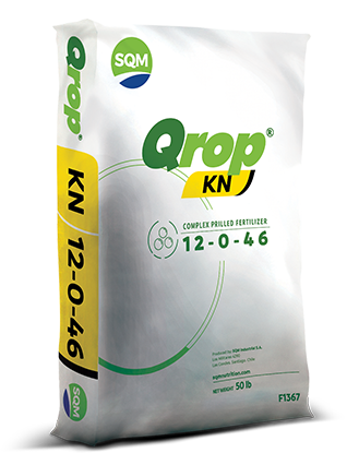 Qrop® KN