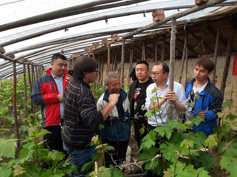 Meeting the world’s largest producer of table grapes